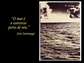 “ O mar é  o universo  perto de nós.” José Saramago 