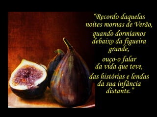“ Recordo daquelas  noites mornas de Verão,  quando dormíamos  debaixo da figueira  grande,  ouço-o falar  da vida que teve,  das histórias e lendas  da sua infância  distante.” 