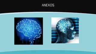 ANEXOS
 