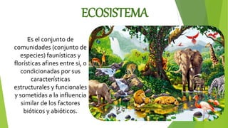 Es el conjunto de
comunidades (conjunto de
especies) faunísticas y
florísticas afines entre si, o
condicionadas por sus
características
estructurales y funcionales
y sometidas a la influencia
similar de los factores
bióticos y abióticos.
ECOSISTEMA
 