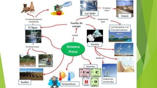 CONCEPTOS BÁSICOS DE GESTIÓN AMBIENTAL