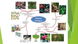 CONCEPTOS BÁSICOS DE GESTIÓN AMBIENTAL