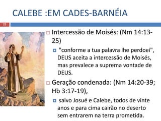 CALEBE :EM CADES-BARNÉIA
23
 Intercessão de Moisés: (Nm 14:13-
25)
 "conforme a tua palavra lhe perdoei",
DEUS aceita a intercessão de Moisés,
mas prevalece a suprema vontade de
DEUS.
 Geração condenada: (Nm 14:20-39;
Hb 3:17-19),
 salvo Josué e Calebe, todos de vinte
anos e para cima cairão no deserto
sem entrarem na terra prometida.
 