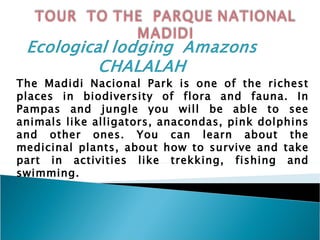 The Madidi Nacional Park is one of the richest places in biodiversity of flora and fauna. In Pampas and jungle you will be able to see animals like alligators, anacondas, pink dolphins and other ones. You can learn about the medicinal plants, about how to survive and take part in activities like trekking, fishing and swimming. 