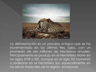 La deforestación es un proceso antiguo que se ha incrementado en los últimos tres siglos, con un promedio de seis millones de hectáreas anuales. Principalmente se produjo en el Hemisferio Norte en los siglos XVIII y XIX, aunque en el siglo XX comenzó a realizarse en el Hemisferio Sur, especialmente en las selvas tropicales de la región, Amazonas.