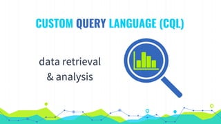 Custom Query Languages: Why? How? | PDF