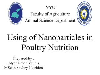 YYU
Faculty of Agriculture
Animal Science Department
Using of Nanoparticles in
Poultry Nutrition
Prepared by :
Jotyar Hasan Younis
MSc ın poultry Nutrition
 
