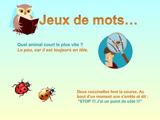 Quel animal court le plus vite ?
Le pou, car il est toujours en tête. 
Deux coccinelles font la course. Au
bout d'un moment une s'arrête et dit :
 "STOP !!! J'ai un point de côté !!!"
 