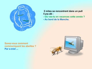  2 mites se rencontrent dans un pull
l'une dit :
- Où vas-tu en vacances cette année ?
- Au bord de la Manche.
Savez-vous comment
communiquent les abeilles ?
Par e-miel ...
 
