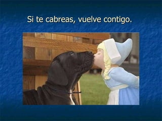 Si te cabreas, vuelve contigo.