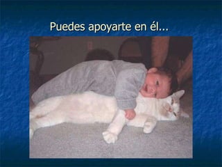 Puedes apoyarte en él...