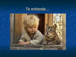 Te entiende...