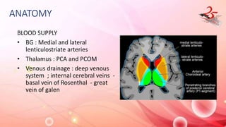 ANATOMY
BLOOD SUPPLY
• BG : Medial and lateral
lenticulostriate arteries
• Thalamus : PCA and PCOM
• Venous drainage : deep venous
system ; internal cerebral veins -
basal vein of Rosenthal - great
vein of galen
 