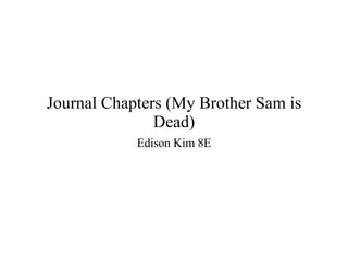 Journal Chapters (My Brother Sam is Dead) ,[object Object]