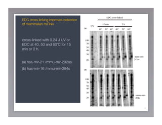 Journal Club Presentation