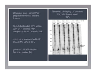 Journal Club Presentation