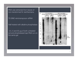 Journal Club Presentation