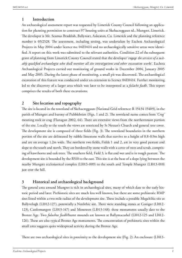 Excavation report pdf image