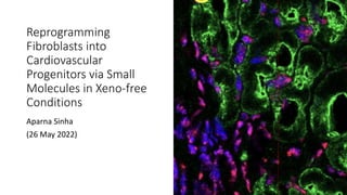 Reprogramming
Fibroblasts into
Cardiovascular
Progenitors via Small
Molecules in Xeno-free
Conditions
Aparna Sinha
(26 May 2022)
 