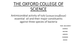 THE OXFORD COLLEGE OF
SCIENCE
Antimicorobial activity of tulsi (ocimum tenuiflorum)
essential oil and their major constituents
against three species of bacteria
TEAM: ANIL KUMAR C
SHARMILA
PAVITHRA
HARSHITA
CHANDANA
ANUSHA
 