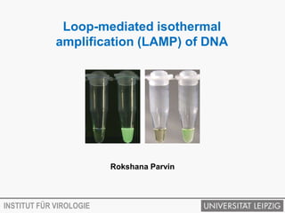 Loop-mediated isothermal
             amplification (LAMP) of DNA




                         Rokshana Parvin



INSTITUT FÜR VIROLOGIE
 