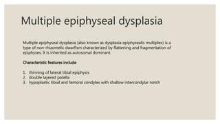 Multiple epiphyseal dysplasia
Multiple epiphyseal dysplasia (also known as dysplasia epiphysealis multiplex) is a
type of non-rhizomelic dwarfism characterized by flattening and fragmentation of
epiphyses. It is inherited as autosomal dominant.
Characteristic features include
1. thinning of lateral tibial epiphysis
2. double layered patella
3. hypoplastic tibial and femoral condyles with shallow intercondylar notch
 