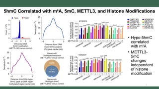 RNA m6A regulates transcription via DNA demethylation and chromatin ...