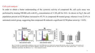 Cell cycle analysis
In order to obtain a better understanding of the cytotoxic activity of compound 4b, cell cycle assay was
performed by treating SW480 cells with IC50 concentration of 11.08 µM for 24 h. As shown in Fig.5, the cell
population percent at G2/M phase increased to 45.3% in compound 4b treated group, whereas it was 21.6% in
untreated control group, suggesting that compound 4b induced a significant G2/M phase arrest (p < 0.05).
14
 