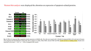 Western blot analysis were displayed the alteration on expression of apoptosis-related proteins.
17
 