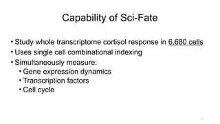 Sci-fate characterizes the dynamics of gene expression in single cells ...