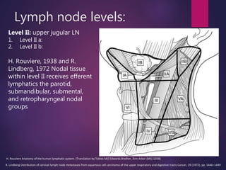 Lymph node levels:
Level II: upper jugular LN
1. Level II a:
2. Level II b:
H. Rouviere, 1938 and R.
Lindberg, 1972 Nodal tissue
within level II receives efferent
lymphatics the parotid,
submandibular, submental,
and retropharyngeal nodal
groups
H. Rouviere Anatomy of the human lymphatic system. (Translation by Tobies MJ) Edwards Brother, Ann Arbor (MI) (1938)
R. Lindberg Distribution of cervical lymph node metastases from squamous cell carcinoma of the upper respiratory and digestive tracts Cancer, 29 (1972), pp. 1446–1449
 