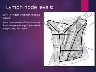 Lymph node levels:
Level III: middle third of the internal
jugular
Level III can receive efferent lymphatics
from the retropharyngeal, pretracheal,
tongue base, and tonsils.
 