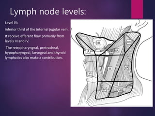 Lymph node levels:
Level IV:
inferior third of the internal jugular vein.
It receive efferent flow primarily from
levels III and IV.
The retropharyngeal, pretracheal,
hypopharyngeal, laryngeal and thyroid
lymphatics also make a contribution.
 