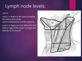 Lymph node levels:
Level V
Level V a: Begins at the apex formed by
the intersection of the
sternocleidomastoid and the trapezius.
Level V b: Begins at a line defined by the
inferior edge of the cricoid cartilage and
extends to the clavicle
 