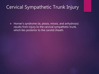Cervical Sympathetic Trunk Injury
 Horner's syndrome (ie, ptosis, miosis, and anhydrosis)
results from injury to the cervical sympathetic trunk,
which lies posterior to the carotid sheath.
 