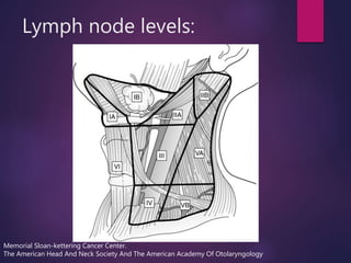 Lymph node levels:
Memorial Sloan-kettering Cancer Center.
The American Head And Neck Society And The American Academy Of Otolaryngology
 