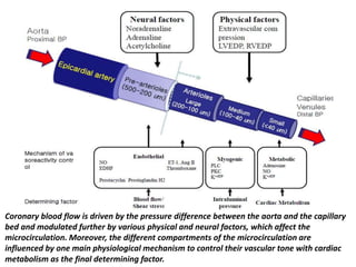 Coronary blood flow is driven by the pressure difference between the aorta and the capillary
bed and modulated further by various physical and neural factors, which affect the
microcirculation. Moreover, the different compartments of the microcirculation are
influenced by one main physiological mechanism to control their vascular tone with cardiac
metabolism as the final determining factor.
 