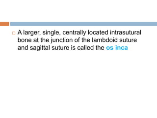  A larger, single, centrally located intrasutural 
bone at the junction of the lambdoid suture 
and sagittal suture is called the os inca 
 