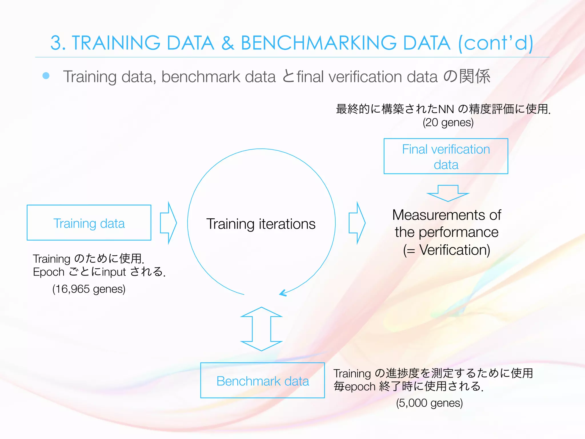 3. TRAINING DATA & BENCHMARKING DATA (cont’d)
—  Training data, benchmark data とﬁnal veriﬁcation data の関係
Training iterations
Benchmark data
Training data
Final veriﬁcation
data
Measurements of 
the performance 
(= Veriﬁcation)
Training のために使用．
Epoch ごとにinput される．
Training の進捗度を測定するために使用
毎epoch 終了時に使用される．
最終的に構築されたNN の精度評価に使用．
(20 genes)
(16,965 genes)
(5,000 genes)
 