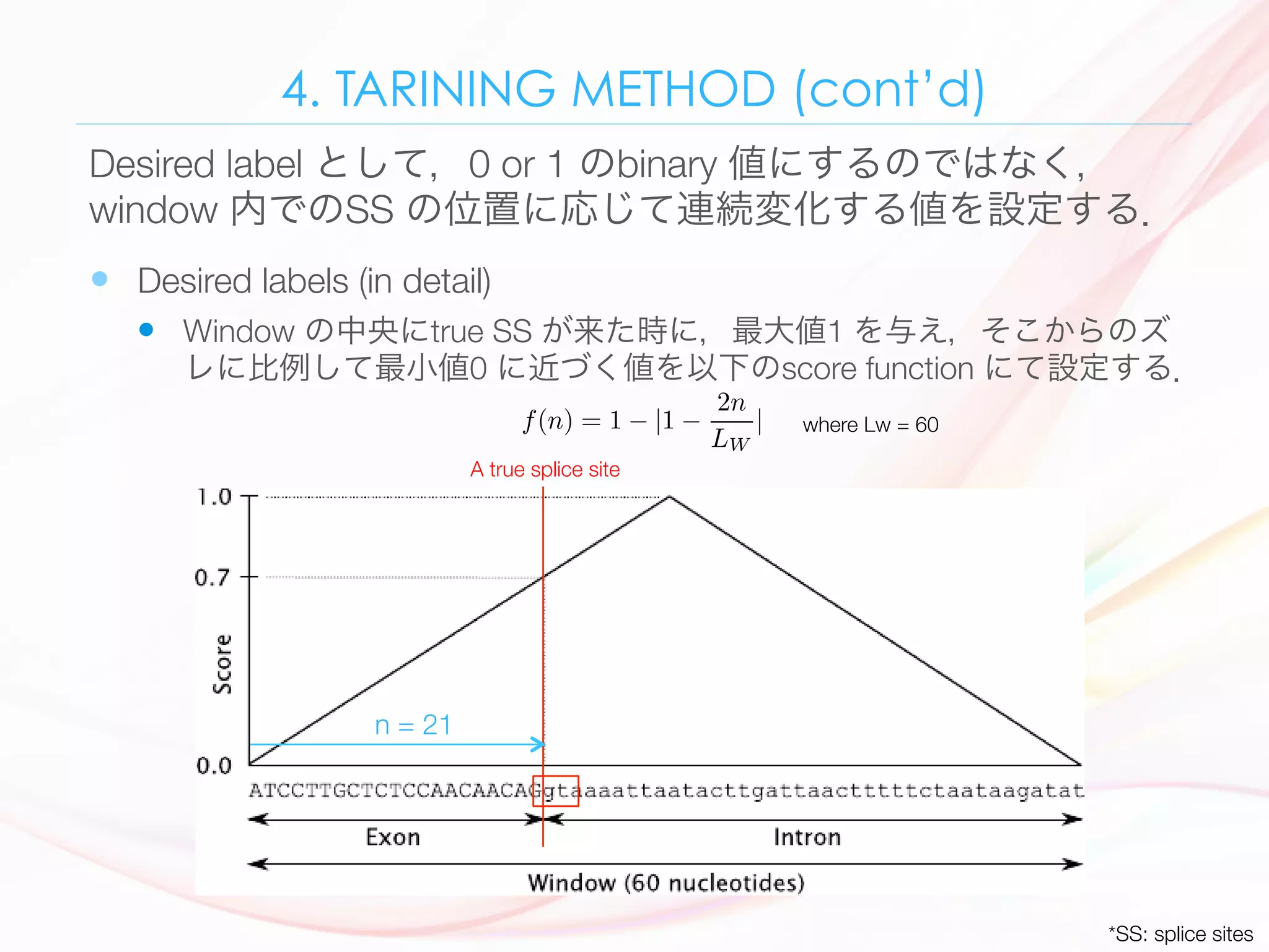 4. TARINING METHOD (cont’d)
—  Desired labels (in detail) 
—  Window の中央にtrue SS が来た時に，最大値1 を与え，そこからのズ
レに比例して最小値0 に近づく値を以下のscore function にて設定する．
Desired label として，0 or 1 のbinary 値にするのではなく，
window 内でのSS の位置に応じて連続変化する値を設定する．
106 Ø. Johansen et al.
splice site.
However, if it is only a 1.0 output when a splice site is in the middle of the
window, and 0.0 when a splice site is not in the middle of the window, there
will probably be too many 0.0 training samples that the neural network would
learn to predict everything as ’no splice site’. This is why we introduce a score
function which calculates a target output not only when the splice site is in
the middle of the window, but whenever there is a splice site somewhere in the
window. We use a weighting function where the weight of a splice site depends
on the distance from the respective nucleotide to the nucleotide at the window
mid-point. The further from the mid point of the window this splice site is, the
lower value we get in the target values. The target values decrease linearly from
the mid point of the window. This gives the score function as shown in Eq. 2
f(n) = 1 − |1 −
2n
LW
| (2)
If a splice site is exactly at the mid point, the target output is 1.0. An example
window is shown in Fig. 2.
n = 21
where Lw = 60
*SS: splice sites
A true splice site
 