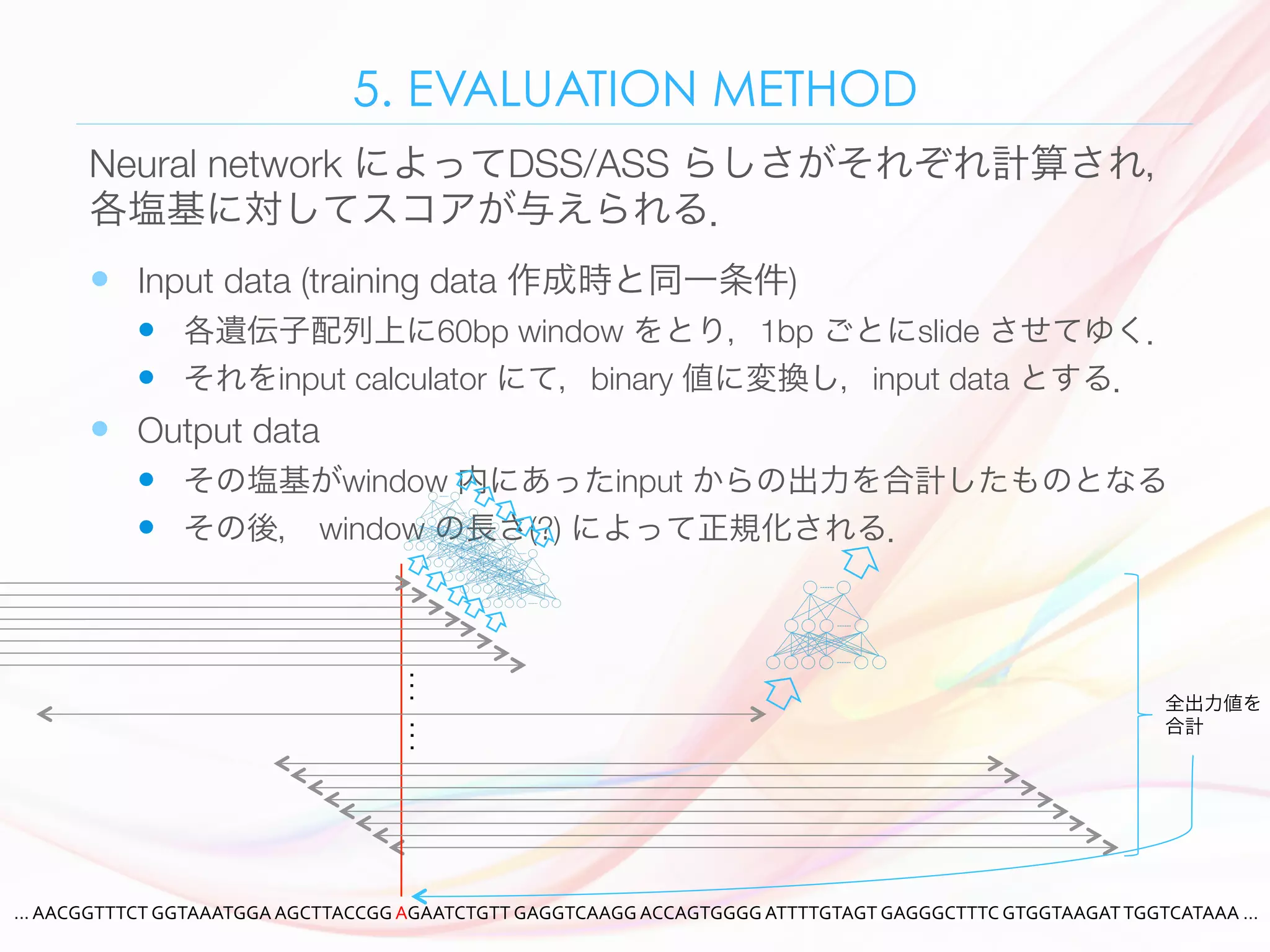 5. EVALUATION METHOD
—  Input data (training data 作成時と同一条件) 
—  各遺伝子配列上に60bp window をとり，1bp ごとにslide させてゆく．
—  それをinput calculator にて，binary 値に変換し，input data とする．
—  Output data 
—  その塩基がwindow 内にあったinput からの出力を合計したものとなる
—  その後， window の長さ(?) によって正規化される．
Neural network によってDSS/ASS らしさがそれぞれ計算され，
各塩基に対してスコアが与えられる．
...	AACGGTTTCT	GGTAAATGGA	AGCTTACCGG	AGAATCTGTT	GAGGTCAAGG	ACCAGTGGGG	ATTTTGTAGT	GAGGGCTTTC	GTGGTAAGAT	TGGTCATAAA	…	
.	
.	
.
.	
.	
.
全出力値を
合計
 