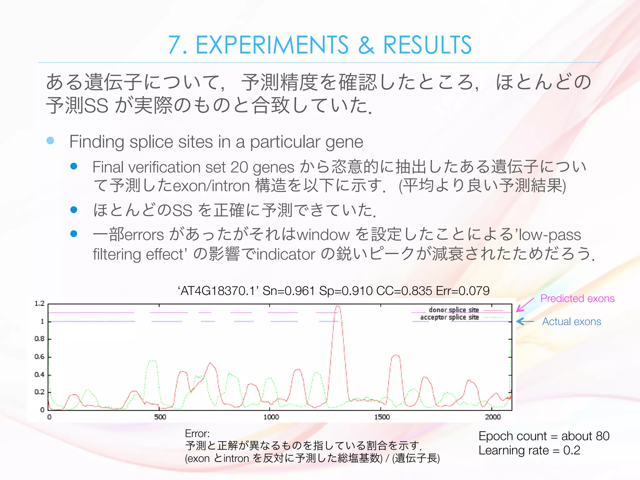 7. EXPERIMENTS & RESULTS
—  Finding splice sites in a particular gene
—  Final veriﬁcation set 20 genes から恣意的に抽出したある遺伝子につい
て予測したexon/intron 構造を以下に示す．(平均より良い予測結果)
—  ほとんどのSS を正確に予測できていた．
—  一部errors があったがそれはwindow を設定したことによる’low-pass
ﬁltering effect’ の影響でindicator の鋭いピークが減衰されたためだろう．
ある遺伝子について，予測精度を確認したところ，ほとんどの
予測SS が実際のものと合致していた．
112 Ø. Johansen et al.
Fig. 4. The splice site indicators plotted along an arbitrary gene (AT4G18370.1) form
the veriﬁcation set. Above the splice site indicators, there are two line indicators where
‘AT4G18370.1’ Sn=0.961 Sp=0.910 CC=0.835 Err=0.079
Predicted exons
Actual exons
Error: 
予測と正解が異なるものを指している割合を示す．
(exon とintron を反対に予測した総塩基数) / (遺伝子長)
Epoch count = about 80
Learning rate = 0.2
 