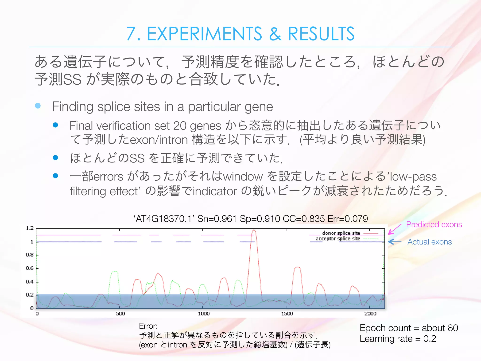 7. EXPERIMENTS & RESULTS
—  Finding splice sites in a particular gene
—  Final veriﬁcation set 20 genes から恣意的に抽出したある遺伝子につい
て予測したexon/intron 構造を以下に示す．(平均より良い予測結果) 
—  ほとんどのSS を正確に予測できていた．
—  一部errors があったがそれはwindow を設定したことによる’low-pass
ﬁltering effect’ の影響でindicator の鋭いピークが減衰されたためだろう．
ある遺伝子について，予測精度を確認したところ，ほとんどの
予測SS が実際のものと合致していた．
112 Ø. Johansen et al.
Fig. 4. The splice site indicators plotted along an arbitrary gene (AT4G18370.1) form
the veriﬁcation set. Above the splice site indicators, there are two line indicators where
‘AT4G18370.1’ Sn=0.961 Sp=0.910 CC=0.835 Err=0.079
Predicted exons
Actual exons
Error: 
予測と正解が異なるものを指している割合を示す．
(exon とintron を反対に予測した総塩基数) / (遺伝子長)
Epoch count = about 80
Learning rate = 0.2
 