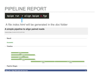 PIPELINE REPORT
A file index.html will be generated in the doc folder
 