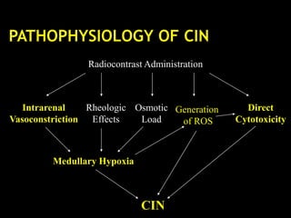 Radiocontrast Administration
CIN
Medullary Hypoxia
Generation
of ROS
Intrarenal
Vasoconstriction
Direct
Cytotoxicity
Rheologic
Effects
Osmotic
Load
 