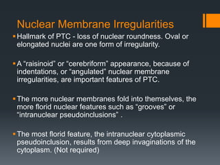 Nuclear Membrane Irregularities
Hallmark of PTC - loss of nuclear roundness. Oval or
elongated nuclei are one form of irregularity.
A “raisinoid” or “cerebriform” appearance, because of
indentations, or “angulated” nuclear membrane
irregularities, are important features of PTC.
The more nuclear membranes fold into themselves, the
more florid nuclear features such as “grooves” or
“intranuclear pseudoinclusions” .
The most florid feature, the intranuclear cytoplasmic
pseudoinclusion, results from deep invaginations of the
cytoplasm. (Not required)
 