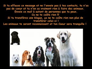 Si tu effaces ce message et ne l'envoie pas à tes contacts, tu n'as
pas de coeur et tu n'en as vraiment rien à faire des animaux. 
Envoie ce mail à autant de personnes que tu peux.
Ca ne te coûte rien !!! 
Si tu transfères une blague, ça ne te coûte rien non plus de
transférer celui-ci !
Les animaux te seront reconnaissant et ton Coeur sera tranquille ! 
 
 