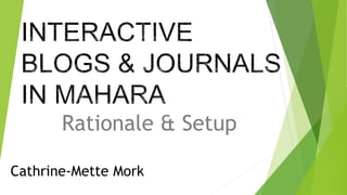 Rationale & Setup
Cathrine-Mette Mork
 
