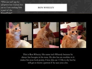 RON WHEEZY
This is Ron Wheezy. His name isn’t Wheesly because he
always has boogies in his nose. He also has an overbite so it
makes his nose look pointy. I love this cat <3 He is shy but he
will get to know a person if he sees you a lot.
*This cat isn’t up for
adoption but I loved this
cat so I am making him
a part of the
PowerPoint*
 