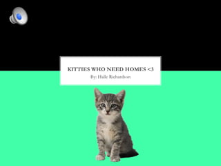 By: Halle Richardson
KITTIES WHO NEED HOMES <3
 